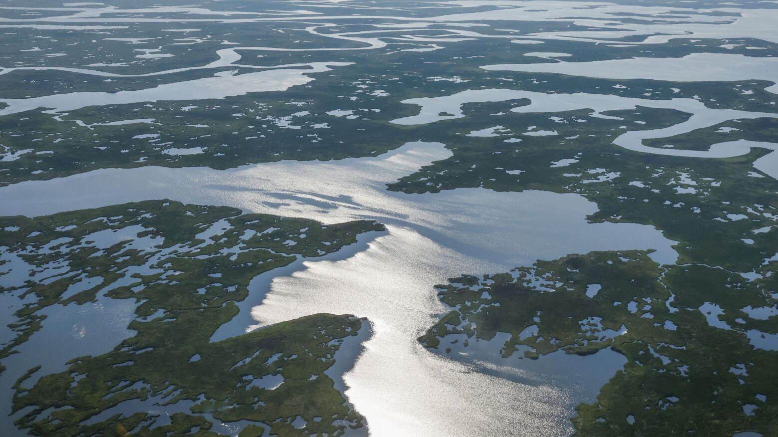 This study has seen the future of Louisiana's coast. It's a sobering glimpse of what's ahead.